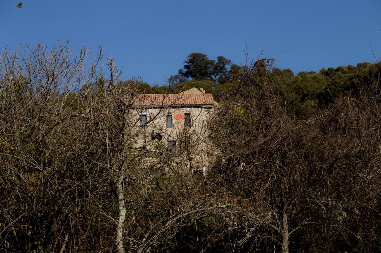贾科梅蒂酒店 Grosseto-Prugna 外观 照片